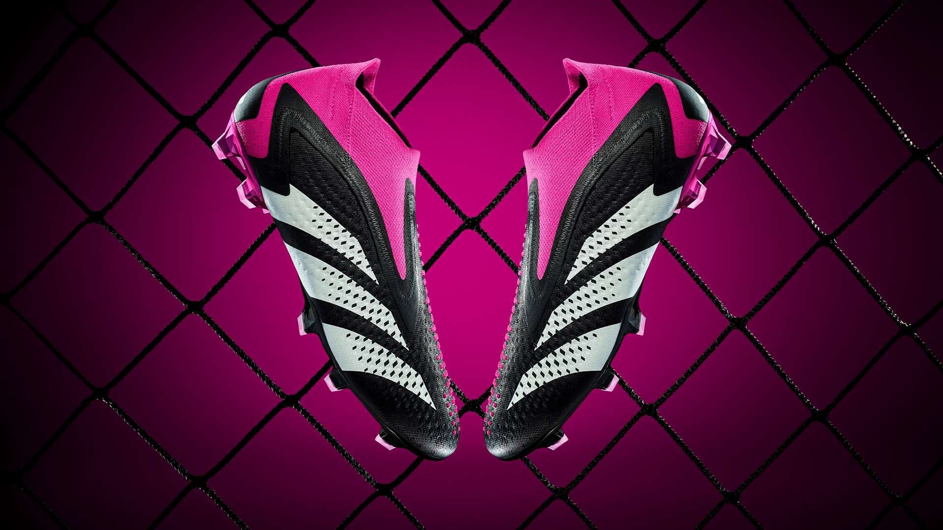 疑将为中国 疑将为中国