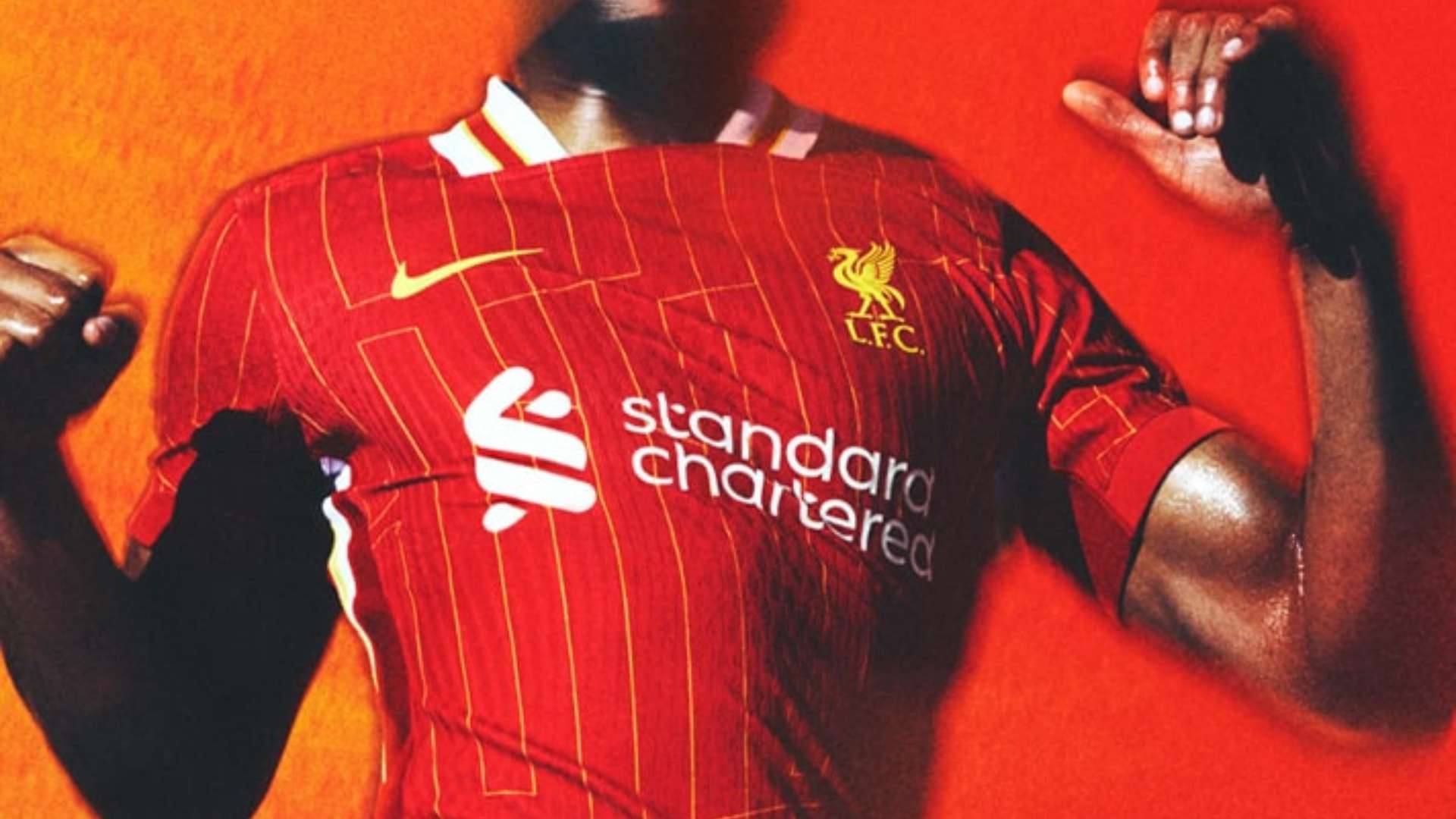 他都能以精 他都能以精